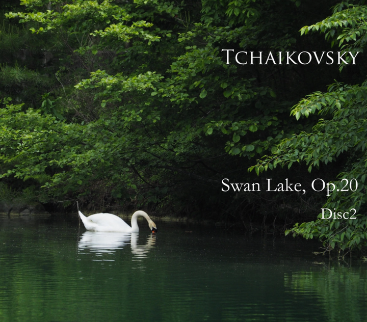 Swan Lake