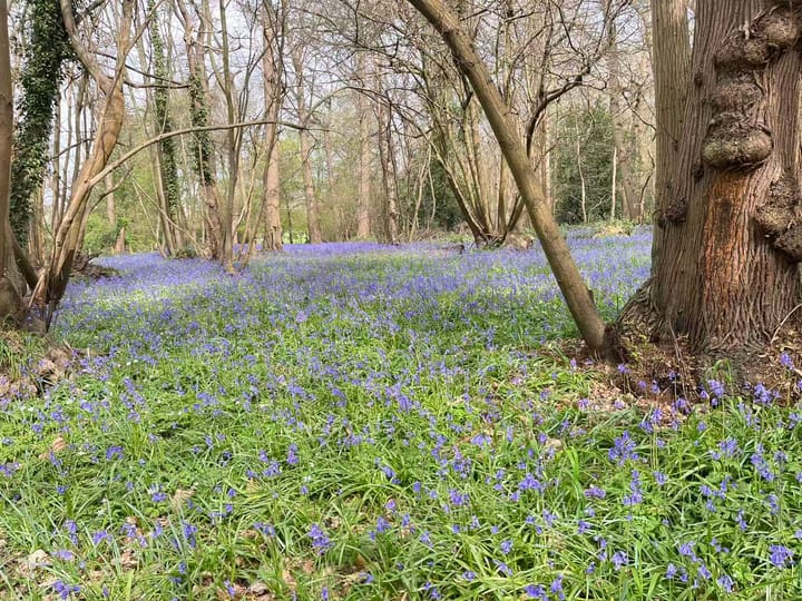 Abbey Wood